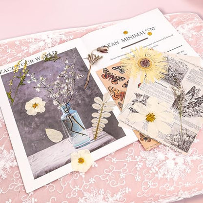 50Pcs Dried Pressed Flowers Real Pressed Flowers Natural Dry Leaves Bulk Mixed Colorful Herbs Kit with Tweezers for Scrapbooking DIY Candle Jewelry Crafts Making Nails (White) - color: White