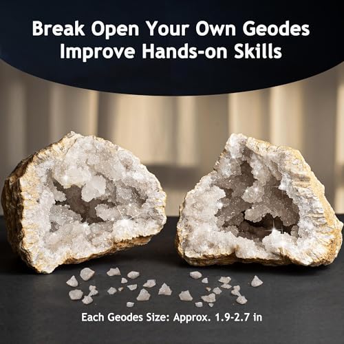 Japace Earth Science Kits for Kids Age 6-8-12-14, Birthstone Gems Dig Kit
