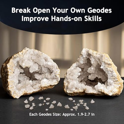 Japace Earth Science Kits for Kids Age 6-8-12-14, Birthstone Gems Dig Kit
