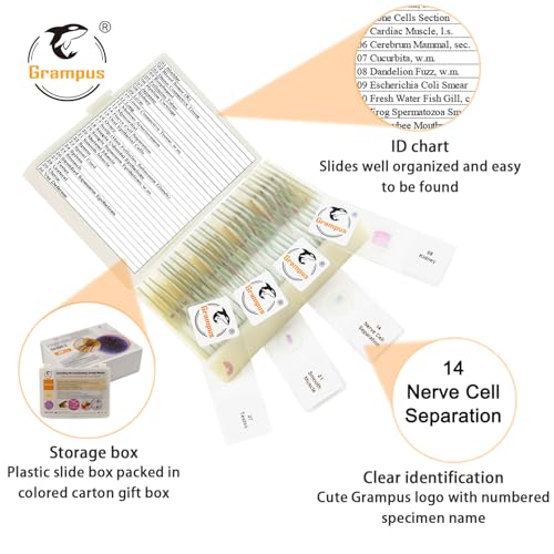30 Prepared Microscope Slides with Specimens for Kids Students - Histology, for Biological Science Lab, Children's Science Education, Homeschooling Use - style: 30PCS Histology