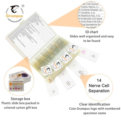30 Prepared Microscope Slides with Specimens for Kids Students - Histology, for Biological Science Lab, Children's Science Education, Homeschooling Use - style: 30PCS Histology