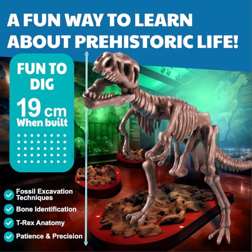 4M Tyrannosaurus Rex Skeleton Kit for Kids Ages 8-12 – T-Rex Fossil Excavation Set with 12 Realistic Bones, STEM Paleontologist Digging Kit with Hammer, Chisel & Brush, Educational Gift