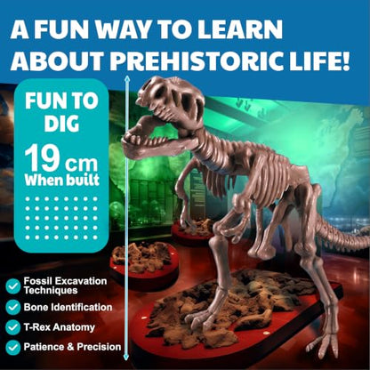 4M Tyrannosaurus Rex Skeleton Kit for Kids Ages 8-12 – T-Rex Fossil Excavation Set with 12 Realistic Bones, STEM Paleontologist Digging Kit with Hammer, Chisel & Brush, Educational Gift