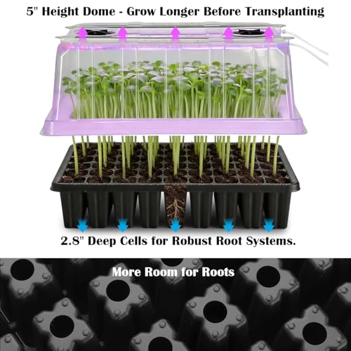 3-Pack Seed Starter Trays with Grow Lights, 5" Tall Humidity Dome & 54-Cell - size: 3p Trays+Domes+54 Cells+Lights