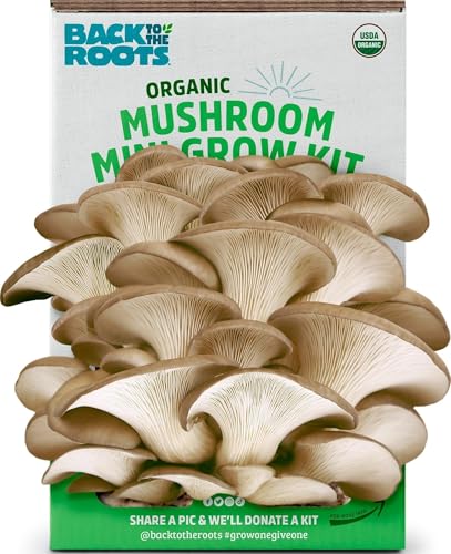 Back to the Roots Organic Mini Mushroom Grow Kit, Harvest Gourmet Oyster Mushrooms In 10 days, Top Gardening Gift, Holiday Gift, & Unique Gift - color: Mini