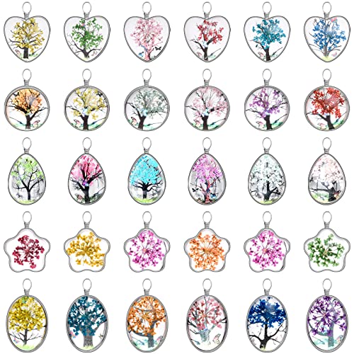 20Pcs 5Styles Dried Flower Tree Pendant Plant Pressed Flower Charms Mix Lacework Transparent Resin Beads Charms for DIY Necklace Bracelet Jewelry Making