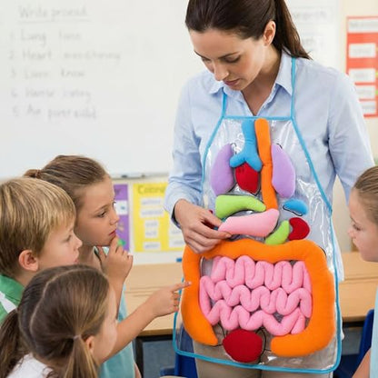 POPETPOP Human Organs Apron 3D Anatomy Teaching Apron for Kids Educational Learning Tool with Removable Plush Organs Preschool and Kindergarten Science Kit