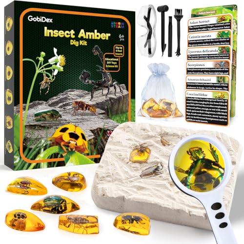 GobiDex Amber Dig Kit for Kids Ages 6+, Excavate 6 Insects Specimens