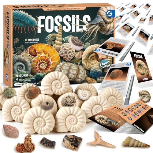 Gamerside Fossil Digging Kit, 12 Real Fossils & Dino Bones & Mess-Free Mat - color: Fossil Dig Kit