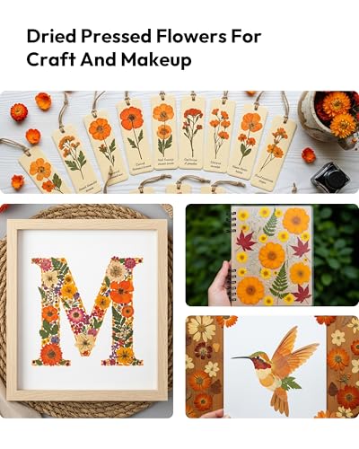 Dried Flowers, Resiners 100Pcs Fall Pressed Flowers for Craft Real Natural Dried Flowers Dry Leaves Kit for DIY Making Crafts Resin Soap Candle Scrapbook Supplies Card Making Jewelry - color: Fall Color 100pcs