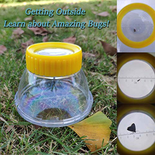 Bug Viewer for Kids 3X Magnifying Insect Observation Kit Built-in 7cm Ruler with 2 Slant Tweezers Bug Jar Catcher Cage for Kids Science Nature Exploration (2Pack Yellow) - color: 2pack Yellow