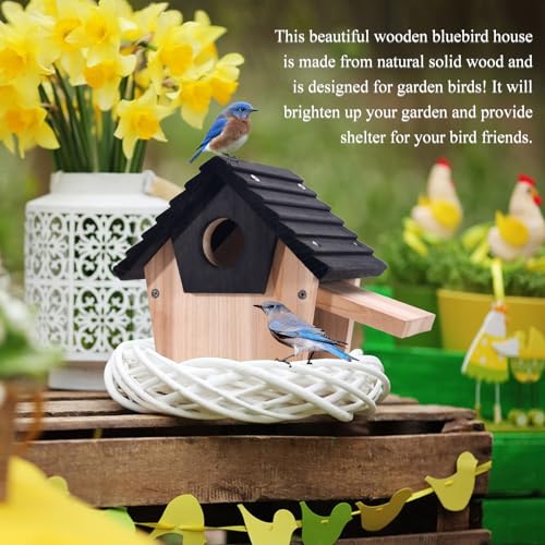 NATUREYLWL DIY Wooden Birdhouse Kit with Side Access
