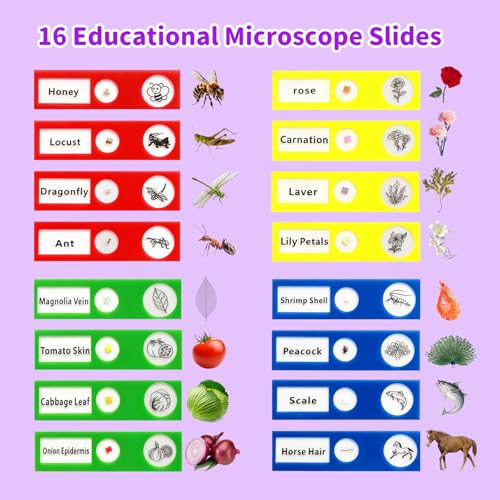 BLACKROOT Microscope for Kids, 2.4" Handheld Digital Pocket Microscope - color: Purple