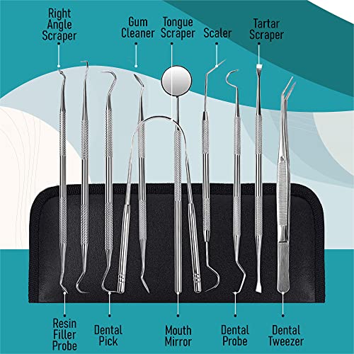 Dental Kit Tools, 10 Pack Stainless Steel Plaque Remover, Dental Tools to Remove Plaque and Tartar, Oral Care Kit with Plaque Cleaner, Tartar Pick, Tooth & Tongue Scraper for Dentist, Personal, Family