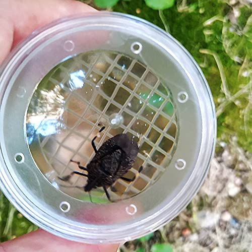 8 Pieces Bug Viewer Critter Insect Cage Magnifying Insect Box Bug Magnifier Container Bug Catcher Cage, Science Nature Exploration Tools
