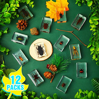 12 Pcs Insect Specimens for Kids Bug Collection Kit, Insect - style: Insect