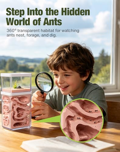 Plaster Ant Habitat with Dual-Zone Nest, 360° Observation, Built-in Expansion Ports for Colony Connection, Ideal for Ant Keeping, Scientific Observation & Student Learning