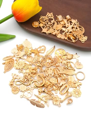 Jewelry Making Charms Pendants for Bracelet Bulk lot Necklace Earrings Keychain Charms Beads DIY Kit Trendy Craft