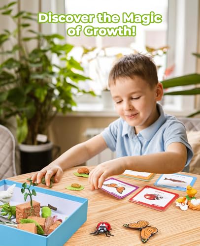 JoyCat Life Cycle Toys for Kids, 7 Animal and Plant Sets with Cards