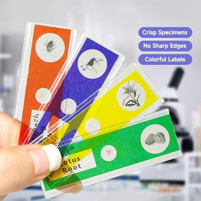 Jiusion 48Pcs Prepared Microscope Slides Specimen Set for Stereo Microscope - size: 48Pcs