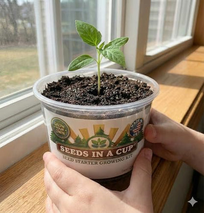 Rhubarb Grow Kit – Seeds in a Cup Indoor/Outdoor Starter Set with Real Potting Soil & Recyclable Planter with Lid | Step-by-Step Instructions | Non GMO | Made in USA – Easy Beginner Gardening Gift - style: Grow Kit