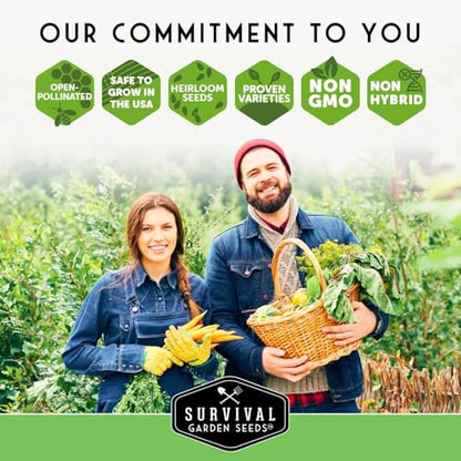 Hydroponic & Indoor Garden Seed Kit – Survival Garden Seeds