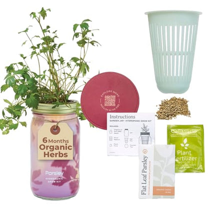 Modern Sprout Mason Garden Jar - Self-Watering Hydroponics Kit - Parsley - color: Parsley, size: Garden Jars