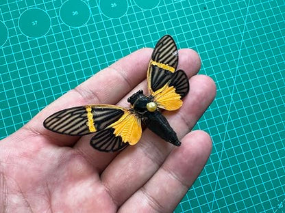 4 Real Cicada Specimens Mounted Insect Taxidermy Entomology Art Set VE80X4 - color: 4 Real Cicada #80