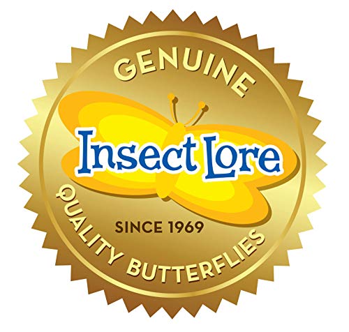 Insect Lore Raise and Release Butterfly Garden Kit – Caterpillar Habitat with redeemable Voucher – STEM-accredited Butterfly Growing Kit for Kids, Classrooms, and Homeschool Learning - size: 11.5 inch