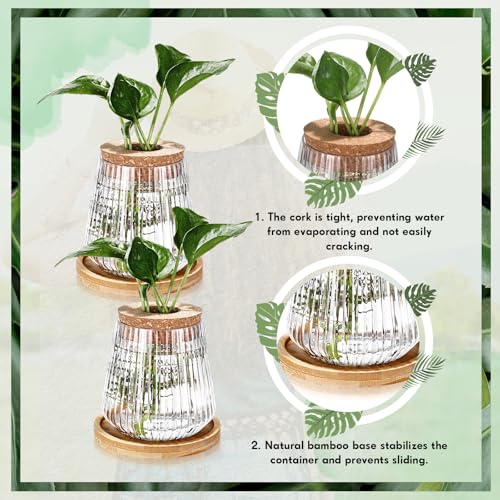 Baderke 12 Pack Propagation Vases for Plants, Vertical Grain Style - color: Vertical Grain Style