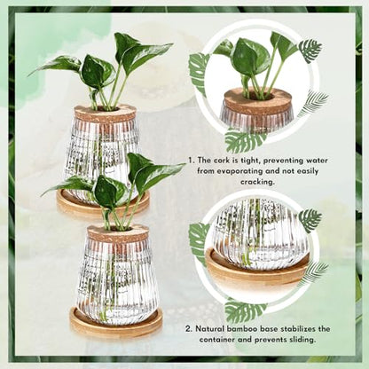 Baderke 12 Pack Propagation Vases for Plants, Vertical Grain Style - color: Vertical Grain Style