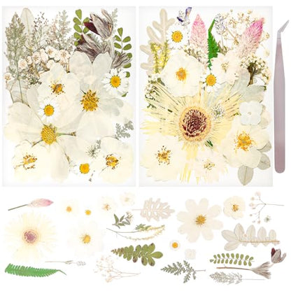 50Pcs Dried Pressed Flowers Real Pressed Flowers Natural Dry Leaves Bulk Mixed Colorful Herbs Kit with Tweezers for Scrapbooking DIY Candle Jewelry Crafts Making Nails (White) - color: White