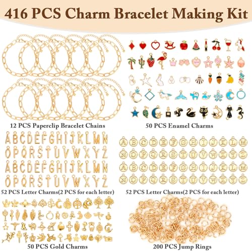 Flasoo 416 Pieces Gold Charm Bracelet Making Kit, Including Paperclip Chain Bracelets, Charms, Jump Rings for Jewelry Making