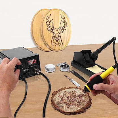 2 IN 1 Wood Burning Kit 100W with 2 Wood Burning Pens & 165 Pcs Pyrography - color: 165 PCS 2-IN-1 Wood Burning Tools