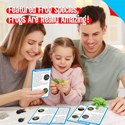 15 Frog Life Circle Flashcards with 5 Plastic Figurines, Frogs Introduction Cards Plastic Insects Tadpole to Frog Kit Toy for Kids, Adults, Animal Lovers - style: Frog