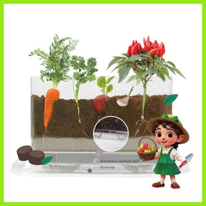 WKLOUYHE Root Viewer Kit for Kids – STEM Science Toy & Craft Growing Kits for Ages 6 7 8 9 10 Birthday Easter Gifts for Boys & Girls,Kids Gardening Set, DIY Toy
