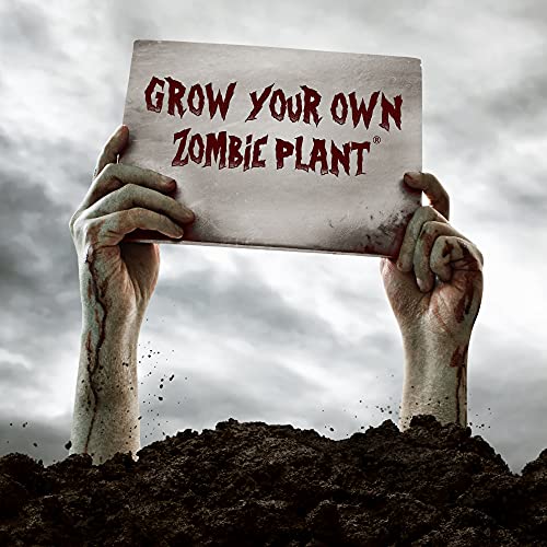Zombie Plant Seeds with Free Book. The Zombie Plant Plays Dead When Touched. 20 Fun Science Activity Projects. Grow Your Own Zombie Plant Indoors - Includes 3 Seed Packets.