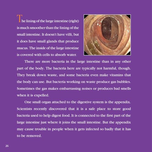 Guts: Revised Edition – Exploring How Food Becomes Energy in the Digestive System for Kids (Ages 6-10)