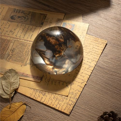 Taxidermy Bat, Real Bat Specimens Animal Specimen in Resin for Science Classroom Science Education, Great Gift for Fans of Taxidermy, Animal Skull, Oddities, Biology(Round 3.5 inch) - color: Taxidermy Bat (Semicircle 3.5 Inch)