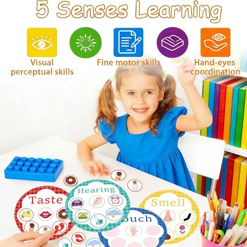 5 Senses Learning Activity Card 8 Inch Five Senses Sorting Cards