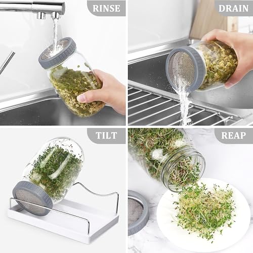 Organic Seed Sprouting Jar Kit – 2 × 32 oz Wide-Mouth Mason Jars with Stainless-Steel Sprouter Lids & Stand, Blackout Sleeves, Drain Tray – Grow Broccoli, Alfalfa & Bean Microgreens - color: Gray