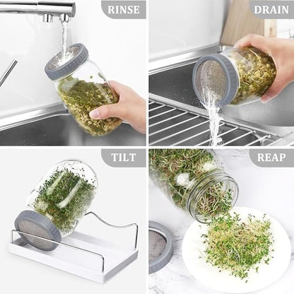 Organic Seed Sprouting Jar Kit – 2 × 32 oz Wide-Mouth Mason Jars with Stainless-Steel Sprouter Lids & Stand, Blackout Sleeves, Drain Tray – Grow Broccoli, Alfalfa & Bean Microgreens - color: Gray