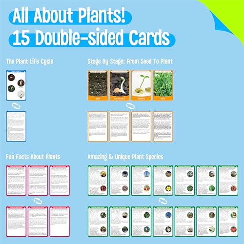 15 Plant Life Circle Flashcards with 4 Plastic Figurines-Seed to Plant, Plants Introduction Card Plants Growth Details for Nature Lovers & Adults, Montessori Toy for Kids - style: Plant