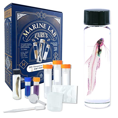 DIY Transparent Specimen Kit, Fish - style: DIY Kit, Fish