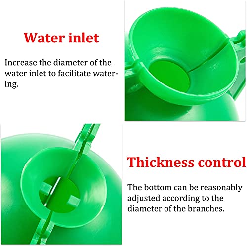 Air layering pods, Reusable Plant Rooting Device Plant Rooting Grow Box High Pressure Propagation Ball Grafting Device Botany Root Controller Garden Plant Rooter Box (Medium(3.1″×6PCS),Green) - color: Green, size: Medium（3.1″×6PCS）