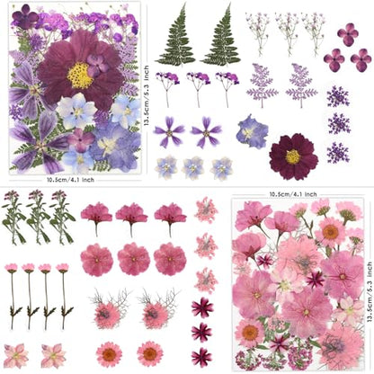LUXEEASE 100P Pink Purple Blue Dried Pressed Flowers - color: Pink & Purple 100pcs