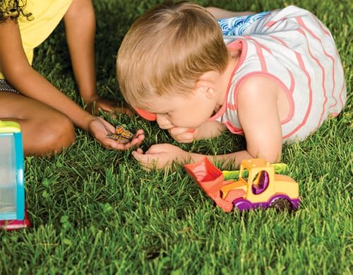 B. toys Bug Bungalow Bug Catching Kit with Mesh Bug House Case, Summer