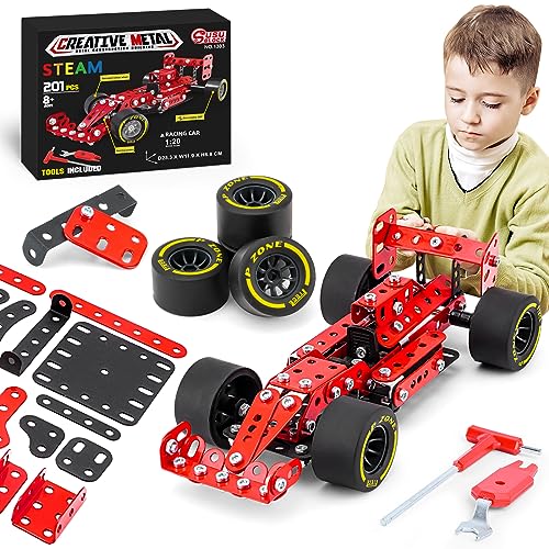 Building Car Metal Model Kits,STEM Building Toys Model Car Kits for Boys 8-12,Erector Sets 1:20 Scale Red Racing Car Metal Building Blocks for Kids Boys 8 9 10 11 12-16 Years Old