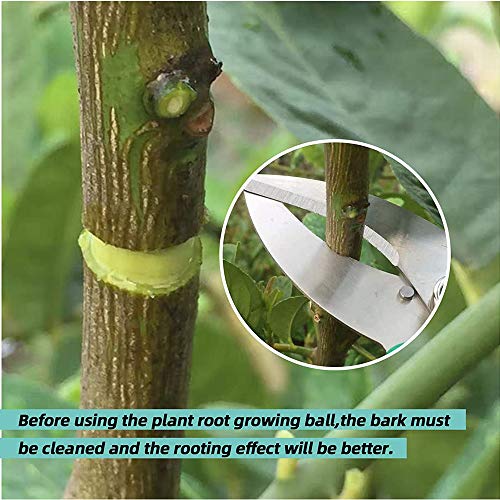Air Layering pods, Reusable Plant Rooting Device Plant Rooting Grow Box High Pressure Propagation Ball Grafting Device Botany Root Controller Garden Plant Rooter Box (2″×6PCS), Transparent - color: Transparent, size: Small（2″×6PCS）