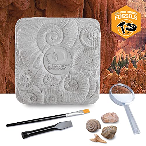 Discovery Colossal Fossil Dig Set, 15-Piece Archeology Excavation Kit, Uncover Real Shark Teeth and More, STEM Toys for Boys and Girls